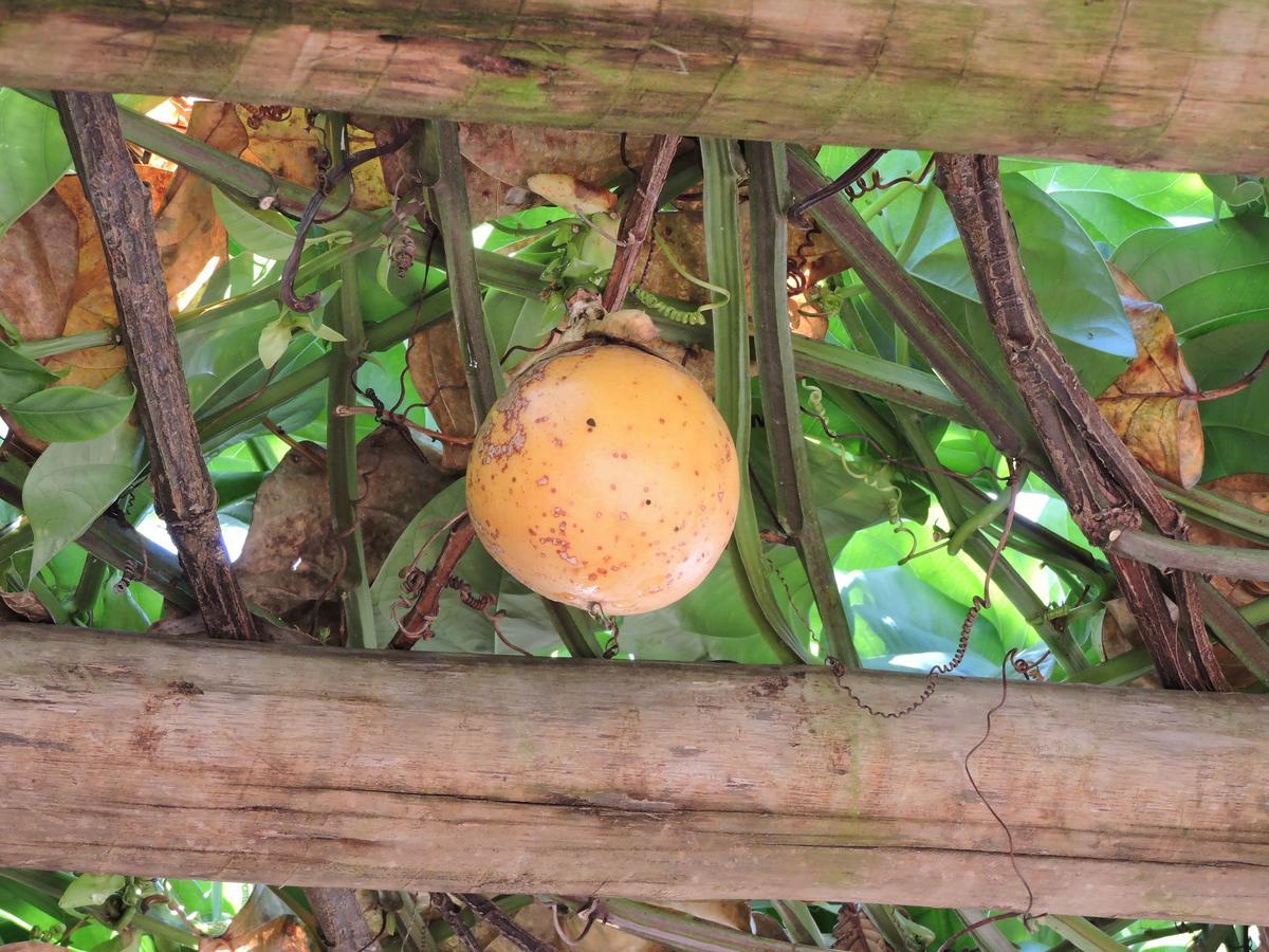 Pousada Casa Da Serra Hotel São Tomé das Letras Kültér fotó